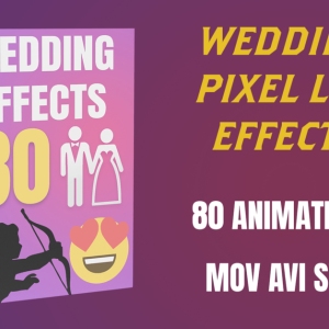 80 Wedding Pixel Led Effects Love Flowers for JINX MADRIX LedEdit Download